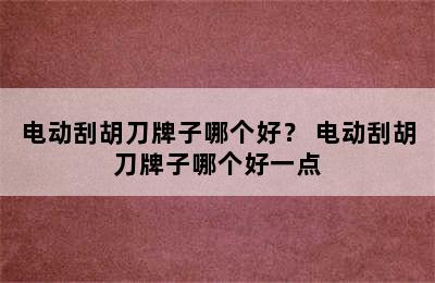 电动刮胡刀牌子哪个好？ 电动刮胡刀牌子哪个好一点